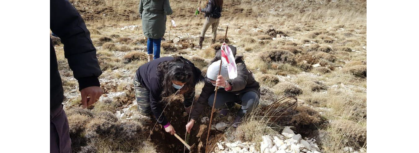 An Arab tribute to LU Task Force and a Cedar tree in its name in Kfardebian