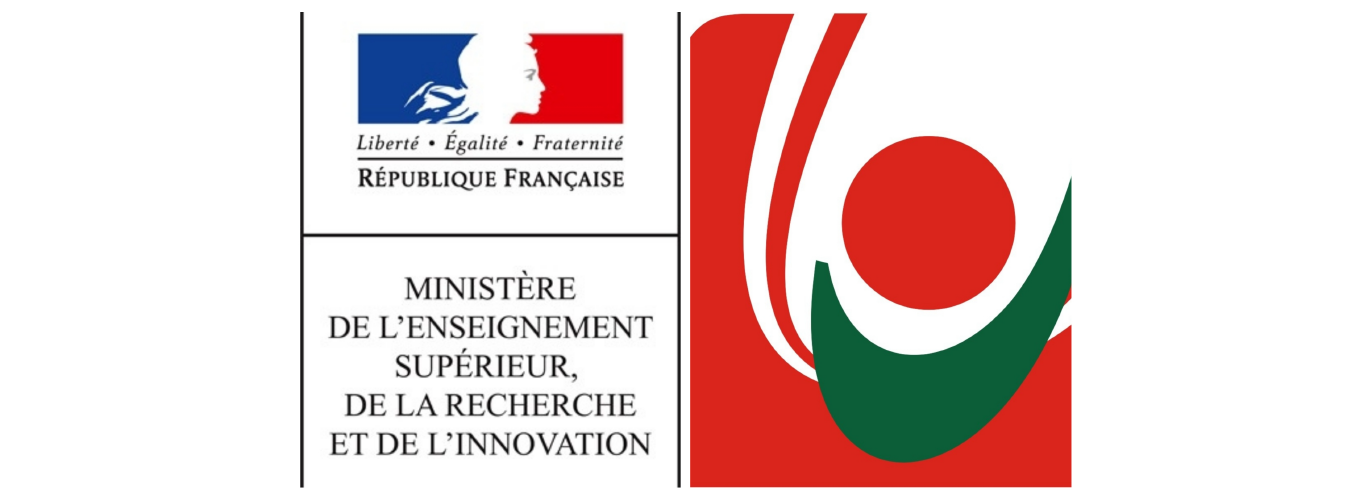The Lebanese University organizes a webinar on “Remote Evaluation” in cooperation with the French Ministry of Higher Education, Research and Innovation