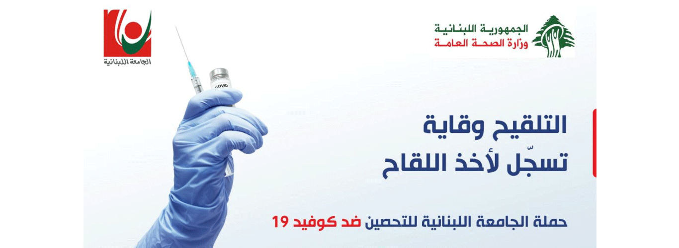 Mechanism for the implementation of the vaccination campaign against Covid-19