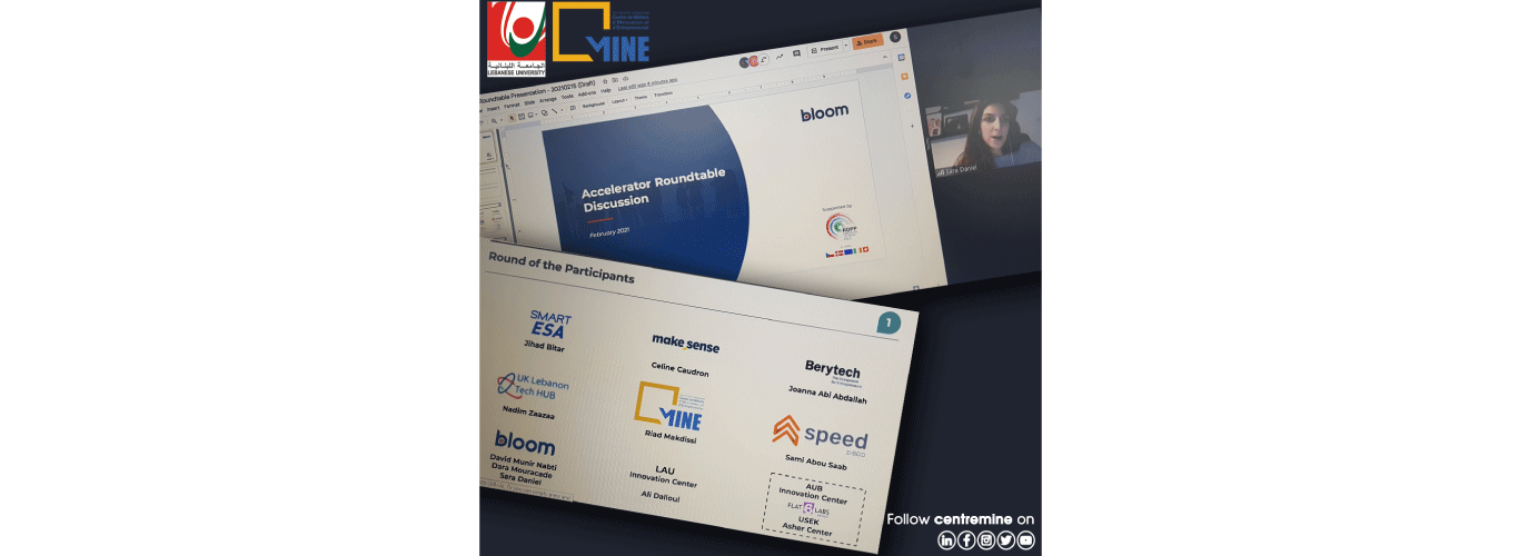 Centre MINE and Bloom S.A.R.L implement the project “LGA-Lebanon Growth Accelerator”