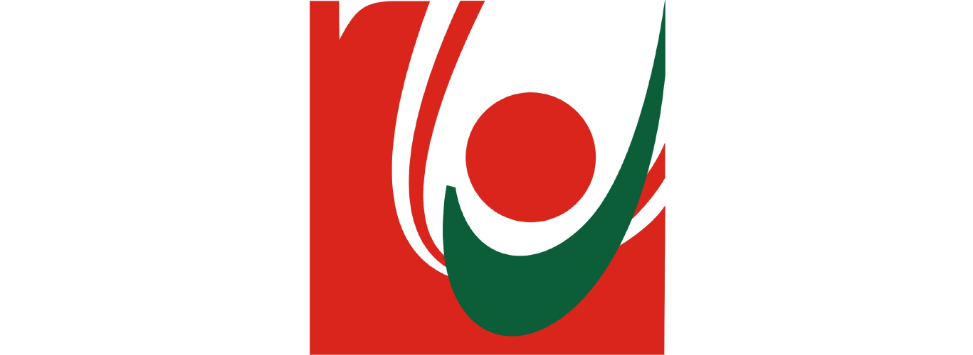 Student survey to assess the effectiveness of online education at the Lebanese University