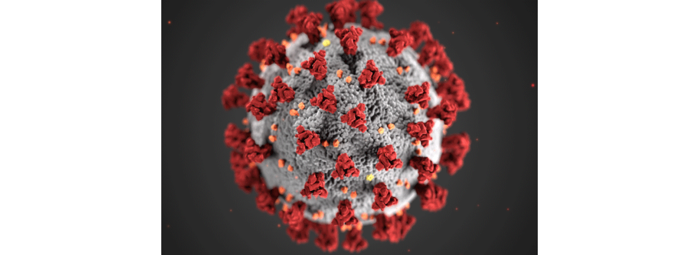 حتمية التحوّر: كورونا ليس استثناءً