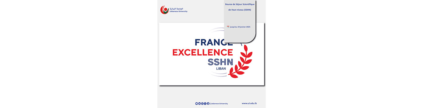 High-level Scientific Residence Grant (SSHN) until 19 January 2025