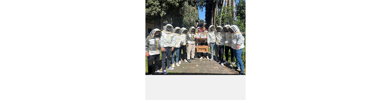 “نحل” صديق للبيئة في كلية العلوم الاقتصادية (3)