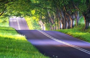 عميد حسين علي رحال