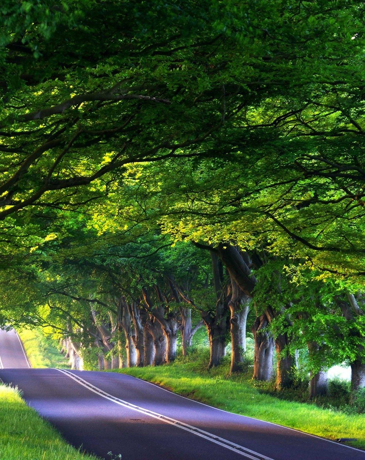 The FI is hosting a round table on “Dangers of Fake News and Impact of Hate Speech”